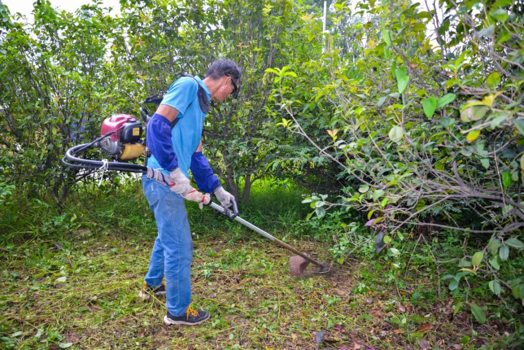 總務處--綠化組 (5)(1).jpg 圖片